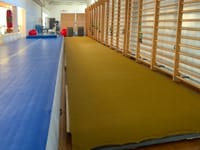 Sala Ginnastica Artistica